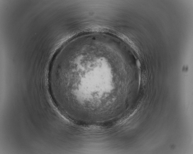 X0000097900581200803281341