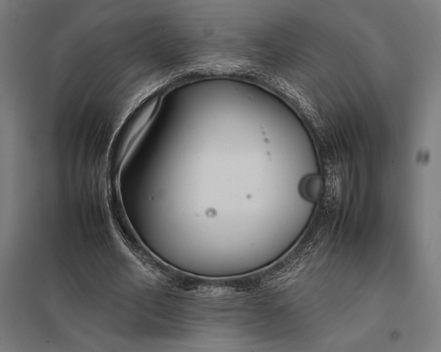 X0000097900582200803281341