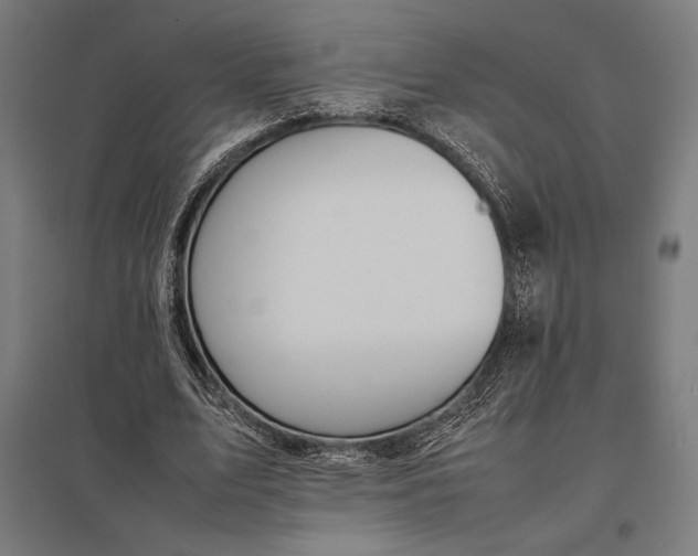 X0000097900583200803281341