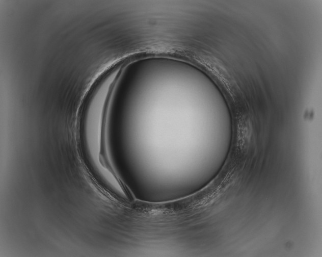 X0000097900584200803281341