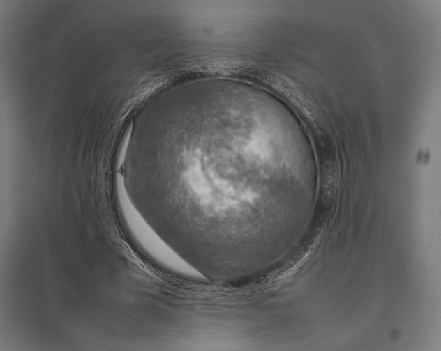 X0000097900585200803281341