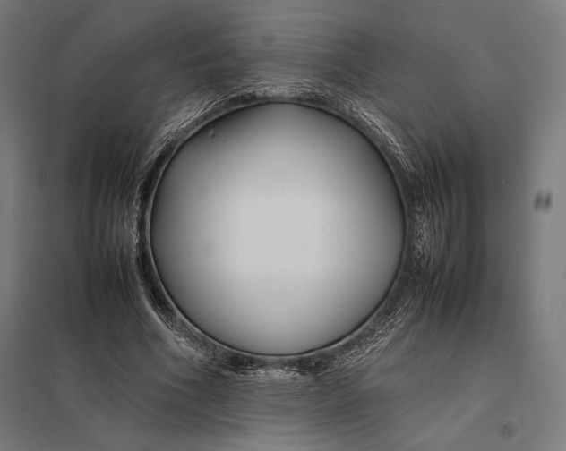 X0000097900586200803281341