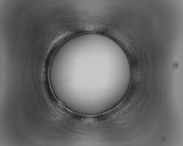 X0000097900587200803281341