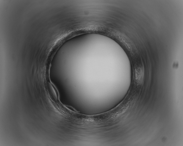 X0000097900588200803281341