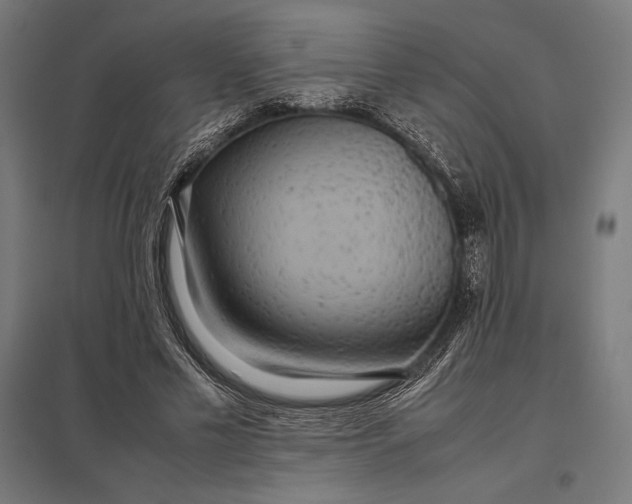 X0000097900589200803281341