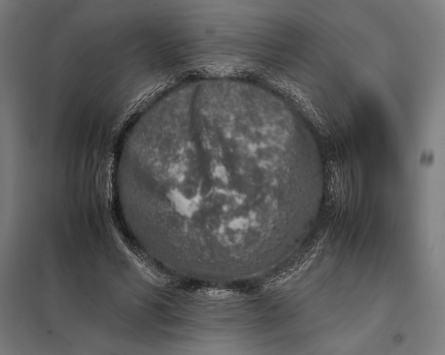 X0000097900590200803281341