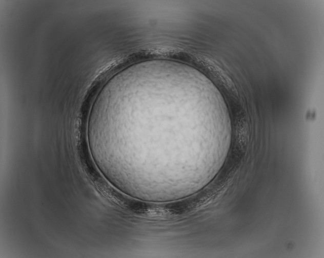 X0000097900591200803281341