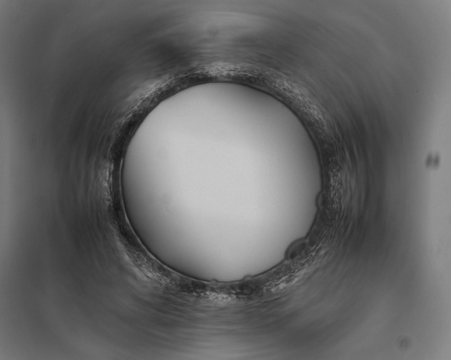 X0000097900592200803281341