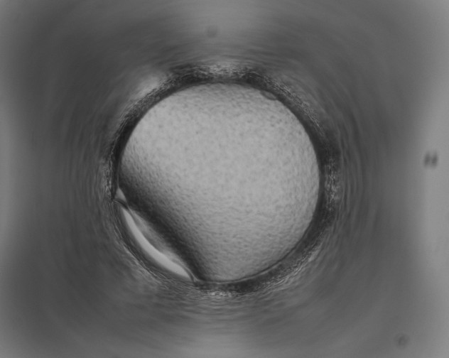 X0000097900593200803281341