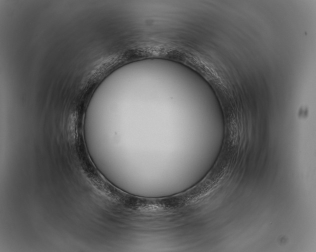 X0000097900594200803281341