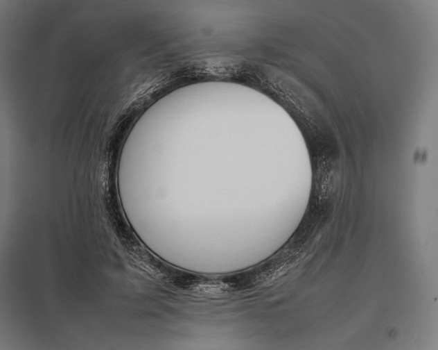 X0000097900595200803281341