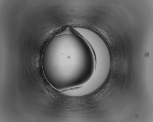 X0000097900596200803281341