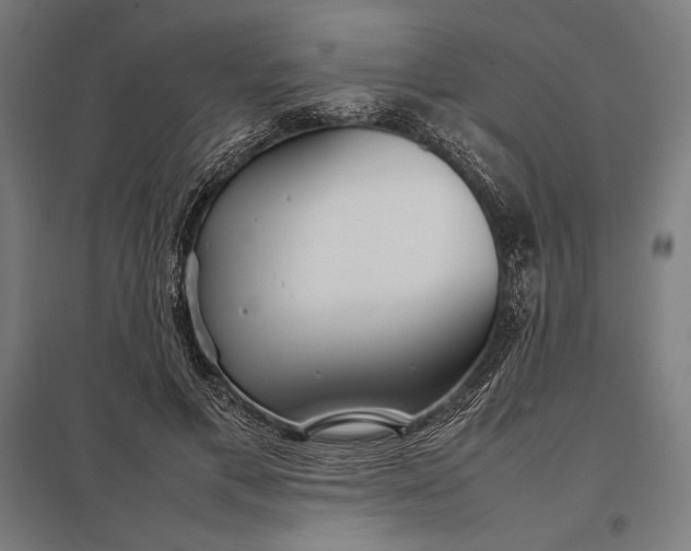 X0000097900597200803281341