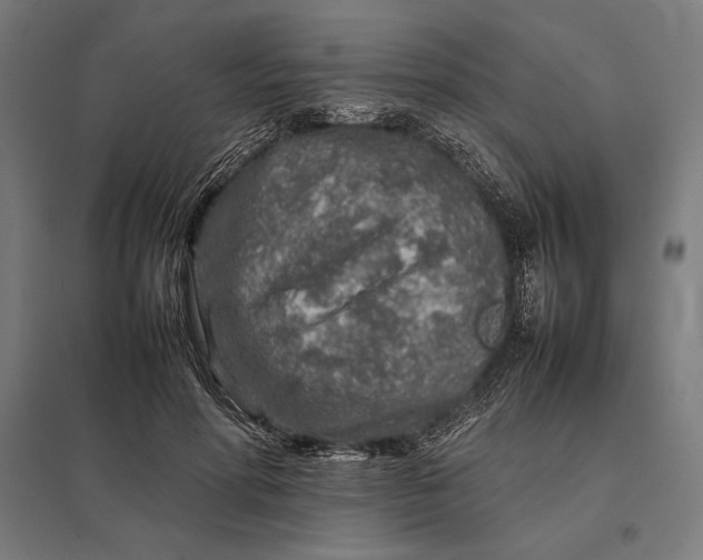 X0000097900598200803281341