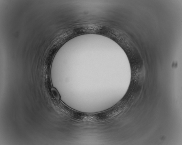 X0000097900599200803281341