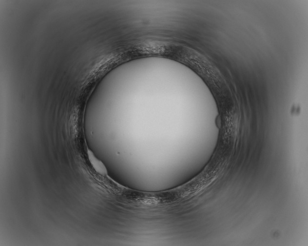 X0000097900600200803281341