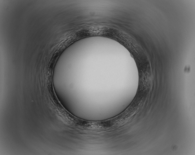 X0000097900601200803281341