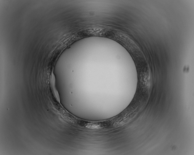 X0000097900602200803281341