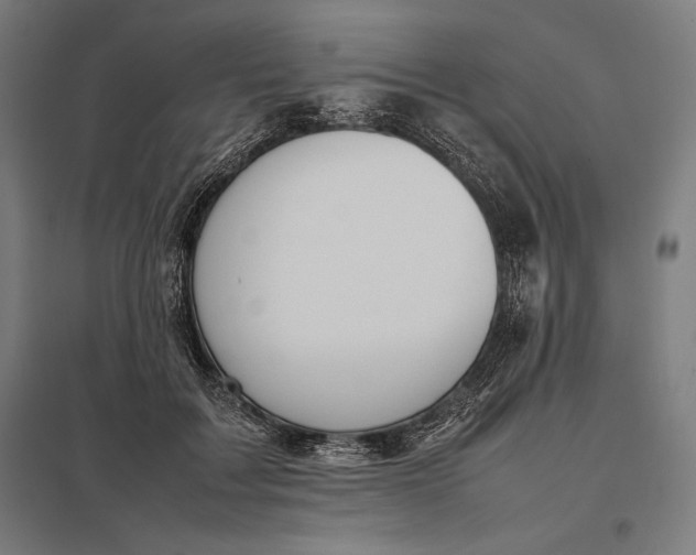 X0000097900603200803281341