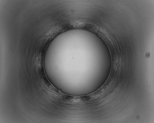 X0000097900604200803281341