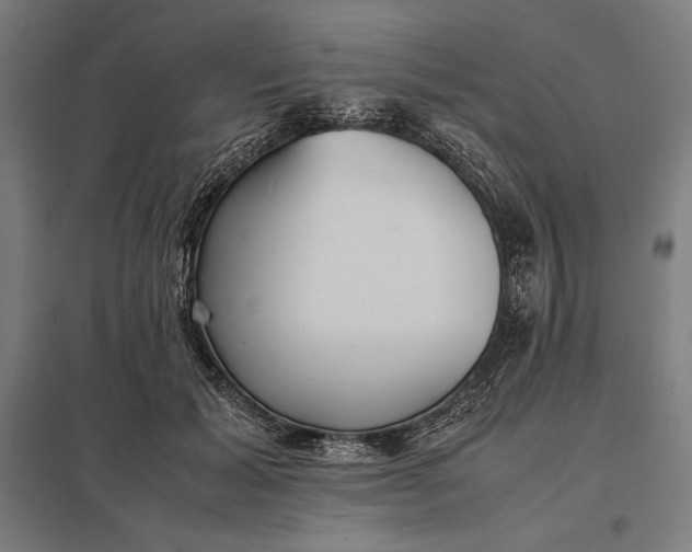 X0000097900605200803281341