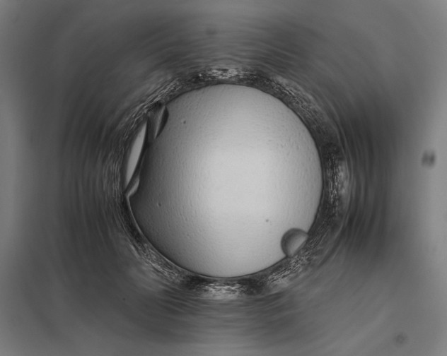 X0000097900606200803281341