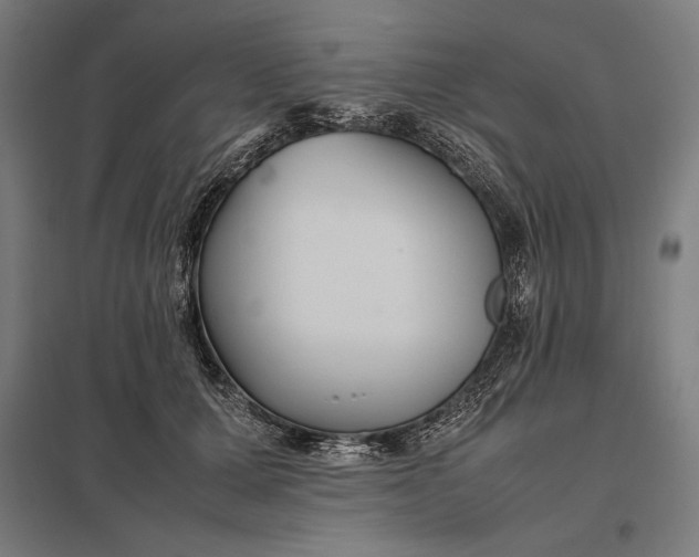 X0000097900607200803281341