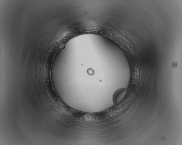 X0000097900608200803281341