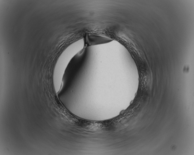 X0000097900609200803281341