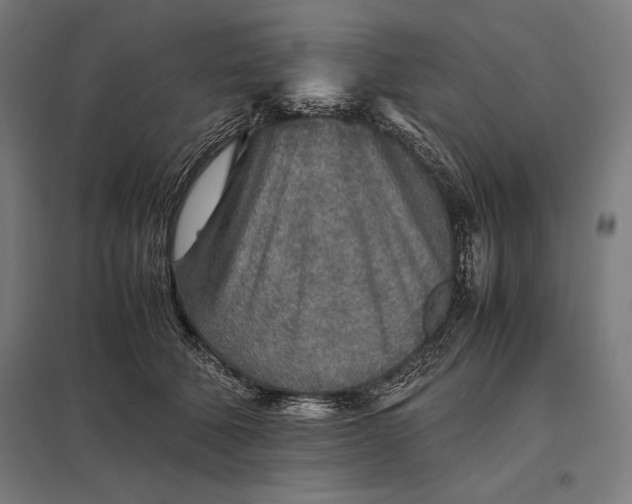 X0000097900610200803281341