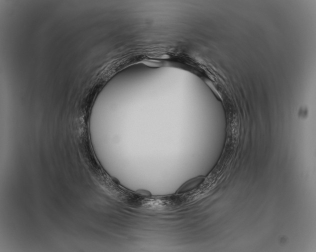 X0000097900611200803281341