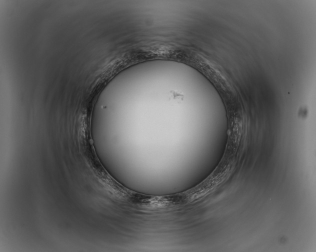 X0000097900612200803281340