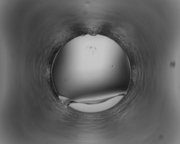 X0000097900613200803281340