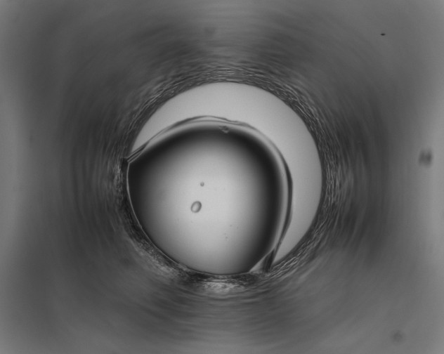 X0000097900614200803281340