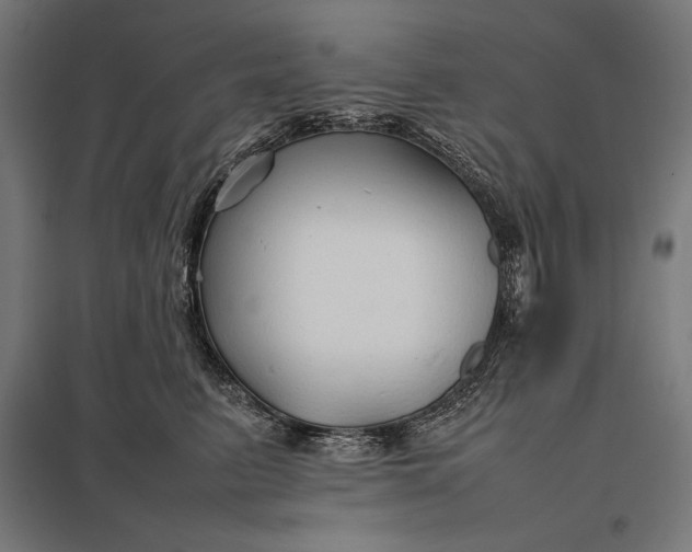 X0000097900615200803281340