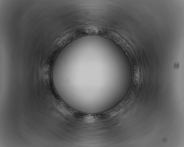 X0000097900616200803281340