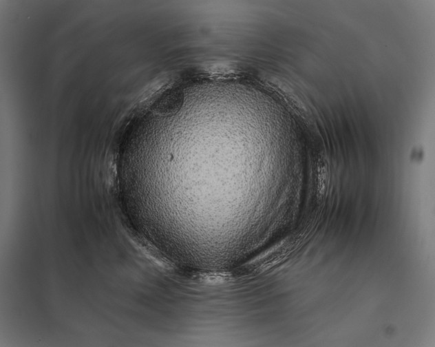 X0000097900618200803281340