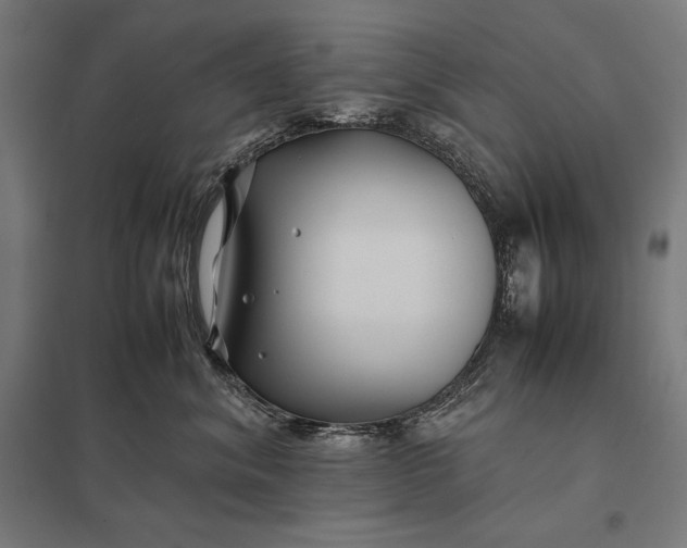 X0000097900620200803281340