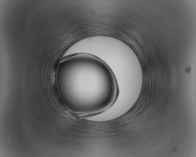 X0000097900621200803281340