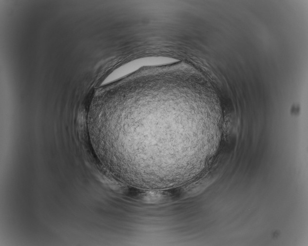 X0000097900623200803281340