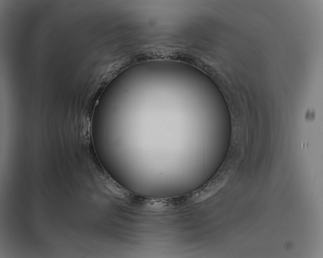 X0000097900624200803281340