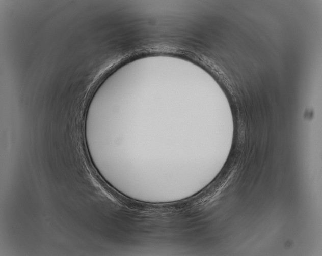 X0000097900625200803281340