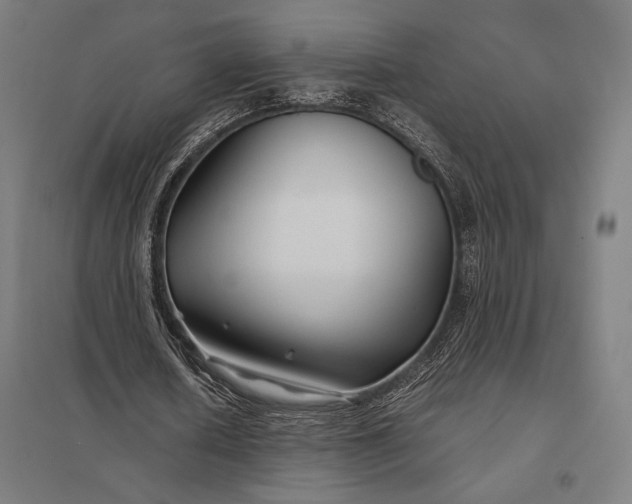 X0000097900626200803281340