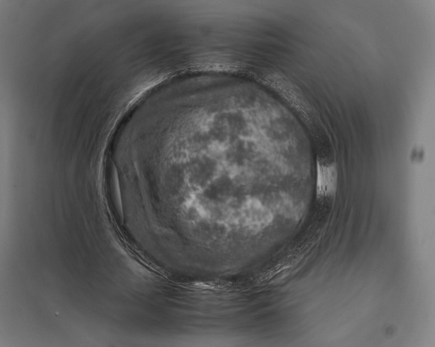 X0000097900627200803281340