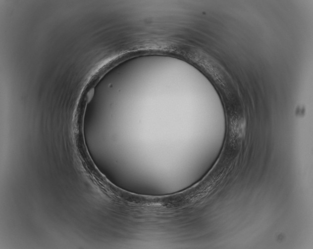 X0000097900628200803281340