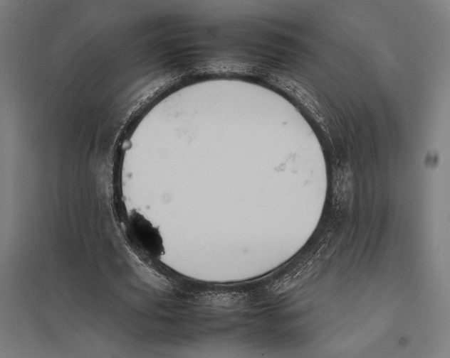 X0000097900629200803281340