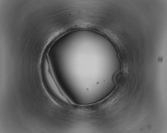 X0000097900630200803281340