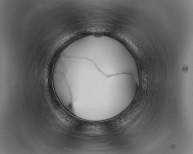 X0000097900631200803281340