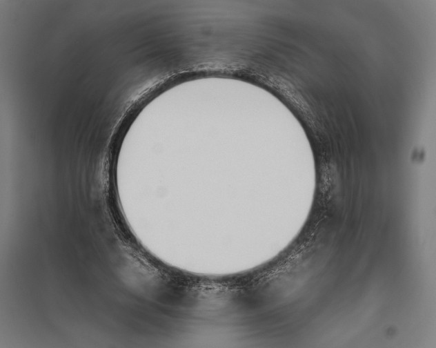 X0000097900632200803281340