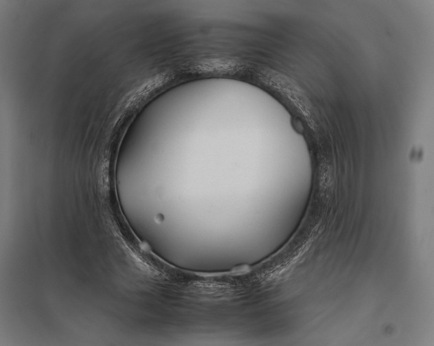 X0000097900633200803281340